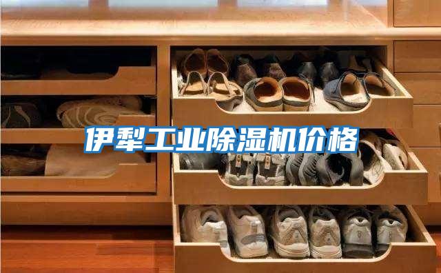 伊犁工業(yè)除濕機價(jià)格