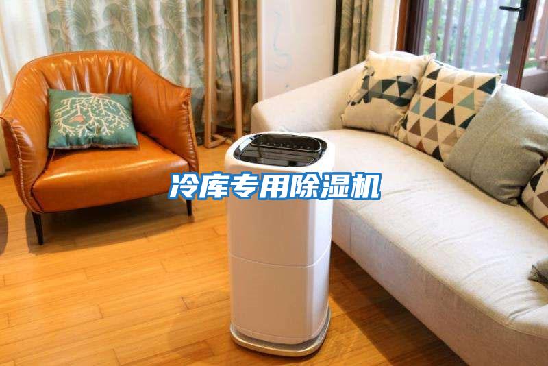 冷庫專(zhuān)用除濕機