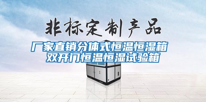 廠(chǎng)家直銷(xiāo)分體式恒溫恒濕箱 雙開(kāi)門(mén)恒溫恒濕試驗箱