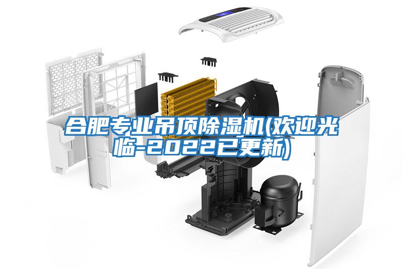 合肥專(zhuān)業(yè)吊頂除濕機(歡迎光臨-2022已更新)