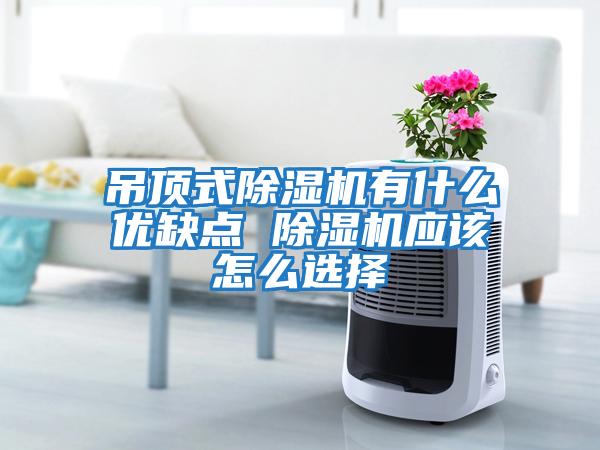 吊頂式除濕機有什么優(yōu)缺點(diǎn) 除濕機應該怎么選擇