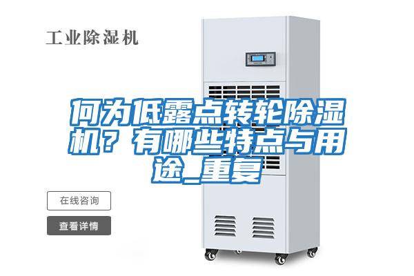 何為低露點(diǎn)轉輪除濕機？有哪些特點(diǎn)與用途_重復