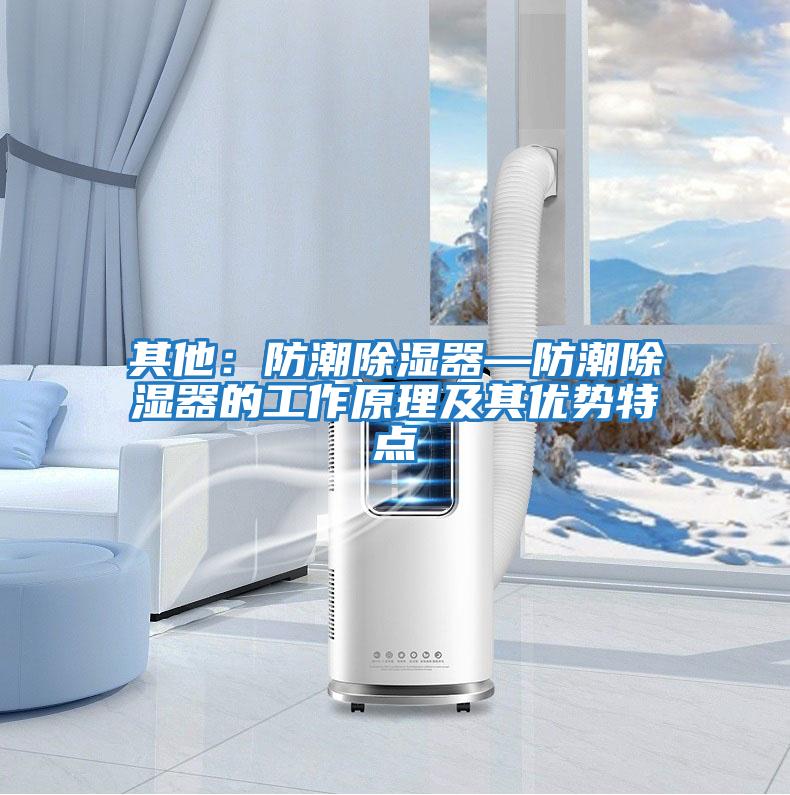 其他：防潮除濕器—防潮除濕器的工作原理及其優(yōu)勢特點(diǎn)