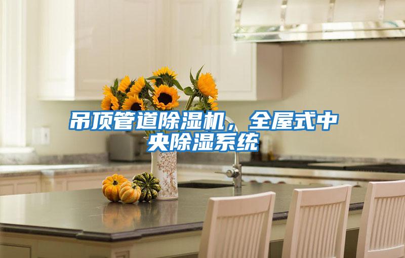 吊頂管道除濕機，全屋式中央除濕系統