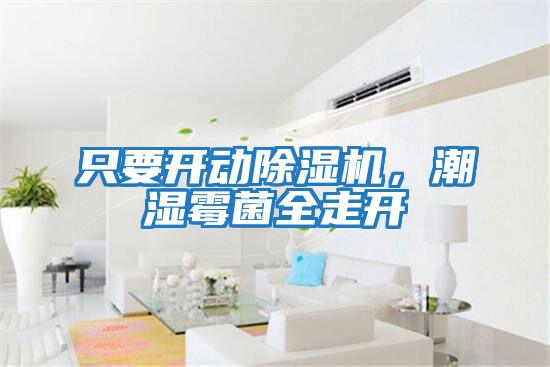 只要開(kāi)動(dòng)除濕機，潮濕霉菌全走開(kāi)