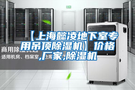 【上海懿凌地下室專(zhuān)用吊頂除濕機】?jì)r(jià)格,廠(chǎng)家,除濕機