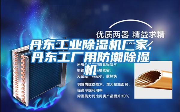 丹東工業(yè)除濕機廠(chǎng)家,丹東工廠(chǎng)用防潮除濕機