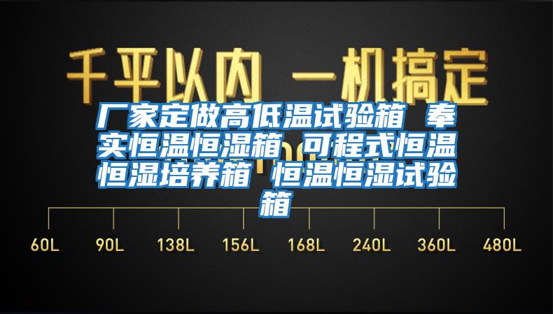 廠(chǎng)家定做高低溫試驗箱 奉實(shí)恒溫恒濕箱 可程式恒溫恒濕培養箱 恒溫恒濕試驗箱