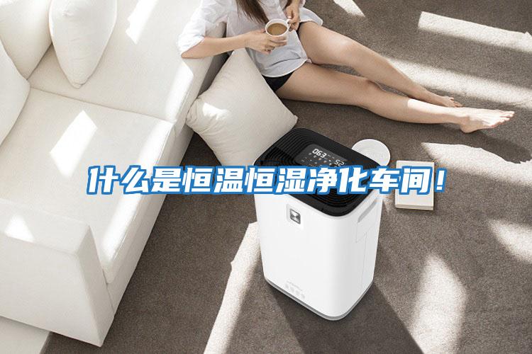 什么是恒溫恒濕凈化車(chē)間！