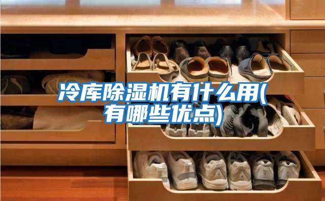 冷庫除濕機有什么用(有哪些優(yōu)點(diǎn))