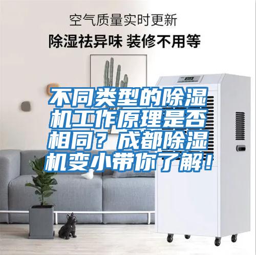 不同類(lèi)型的除濕機工作原理是否相同？成都除濕機變小帶你了解！