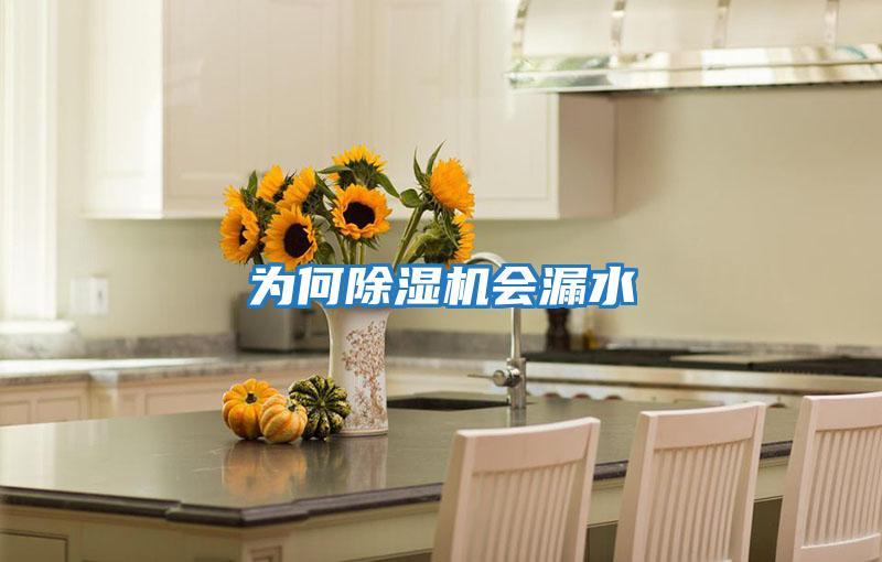 為何除濕機會(huì )漏水