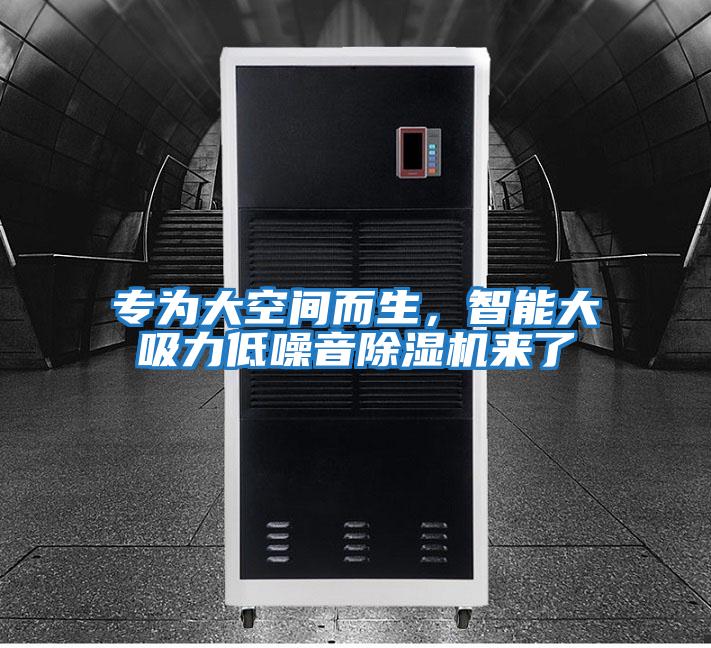 專(zhuān)為大空間而生，智能大吸力低噪音除濕機來(lái)了