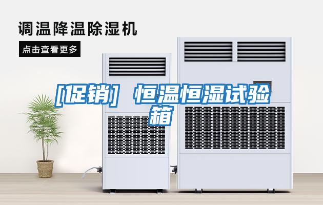 [促銷(xiāo)] 恒溫恒濕試驗箱