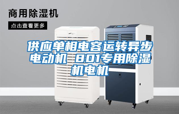 供應單相電容運轉異步電動(dòng)機 801專(zhuān)用除濕機電機