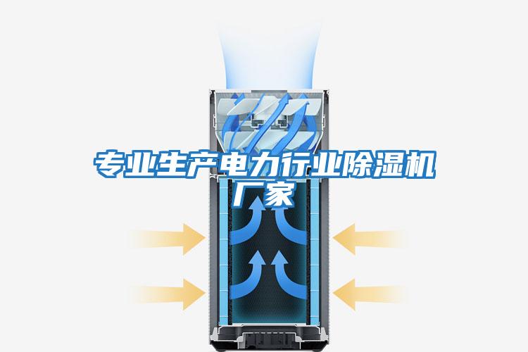 專(zhuān)業(yè)生產(chǎn)電力行業(yè)除濕機廠(chǎng)家