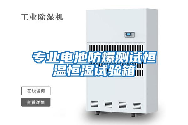 專(zhuān)業(yè)電池防爆測試恒溫恒濕試驗箱