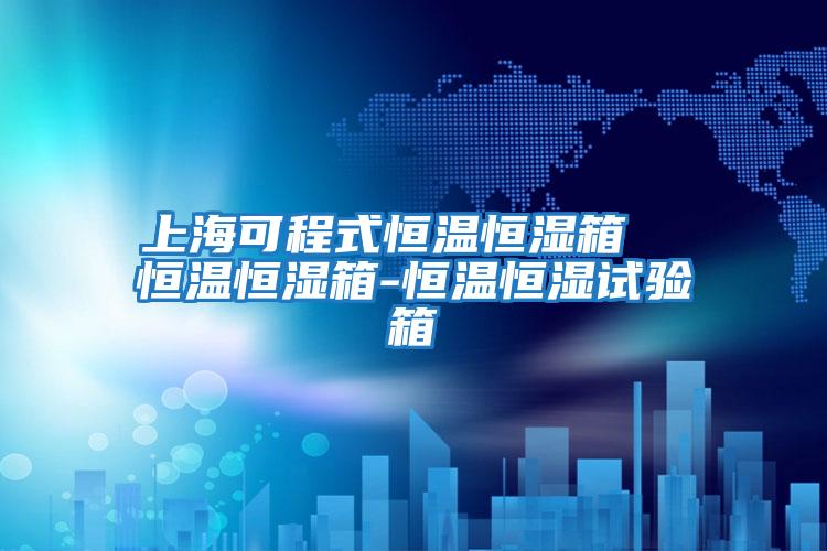 上?？沙淌胶銣睾銤裣? 恒溫恒濕箱-恒溫恒濕試驗箱