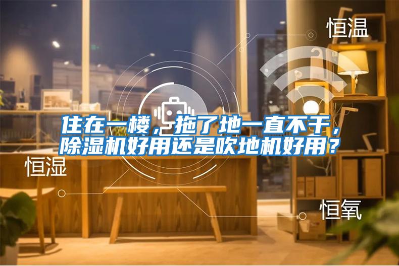 住在一樓，拖了地一直不干，除濕機好用還是吹地機好用？