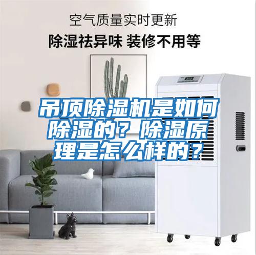 吊頂除濕機是如何除濕的？除濕原理是怎么樣的？