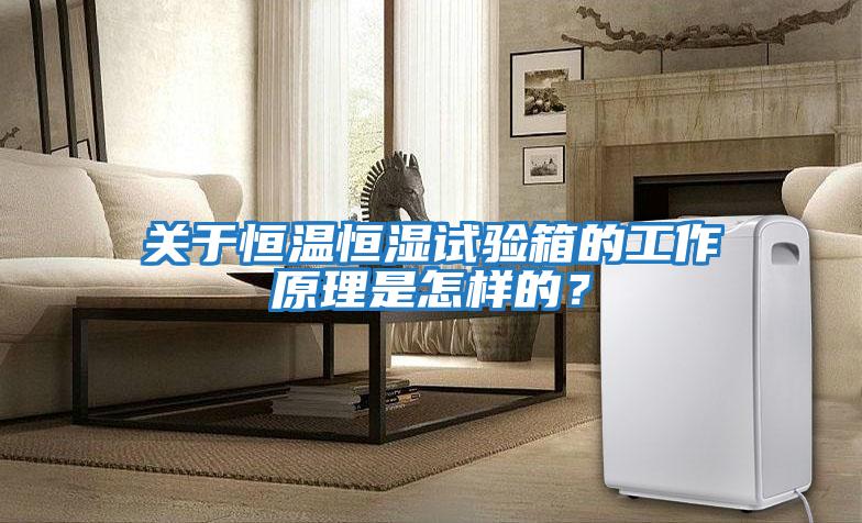 關(guān)于恒溫恒濕試驗箱的工作原理是怎樣的？