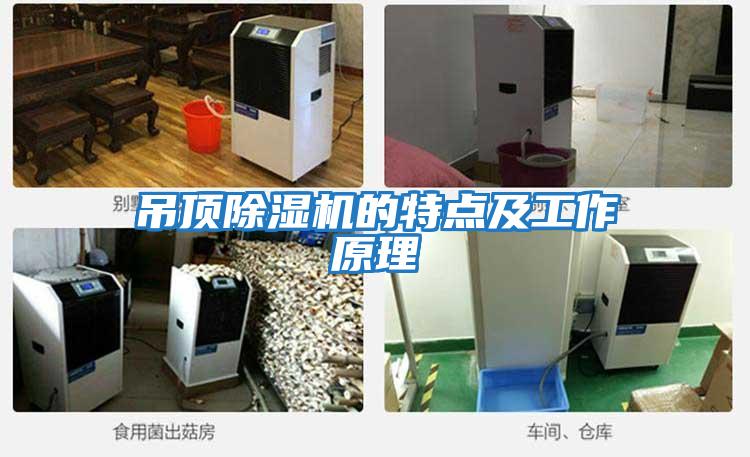吊頂除濕機的特點(diǎn)及工作原理