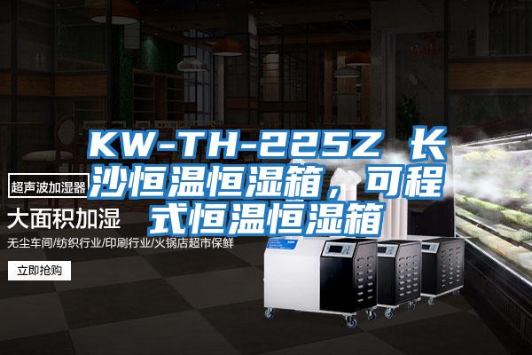 KW-TH-225Z 長(cháng)沙恒溫恒濕箱，可程式恒溫恒濕箱