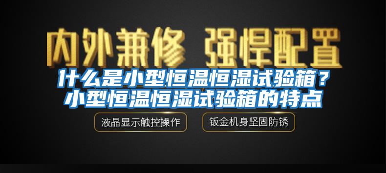 什么是小型恒溫恒濕試驗箱？小型恒溫恒濕試驗箱的特點(diǎn)