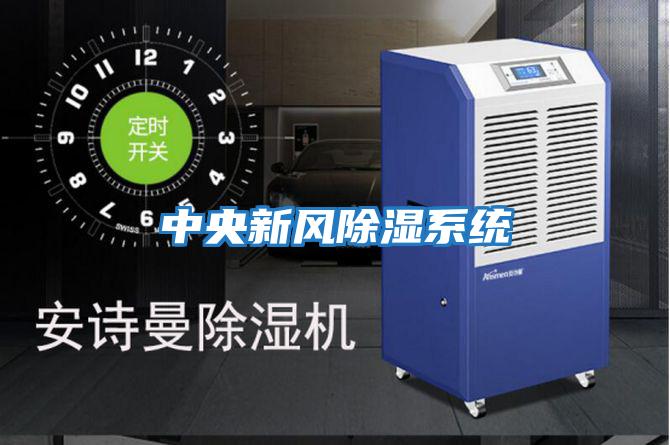 中央新風(fēng)除濕系統