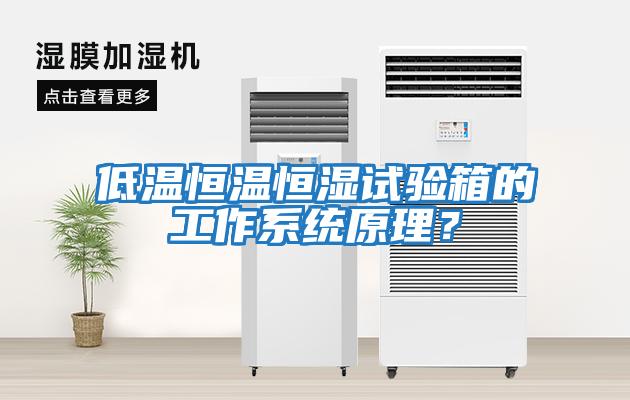 低溫恒溫恒濕試驗箱的工作系統原理？