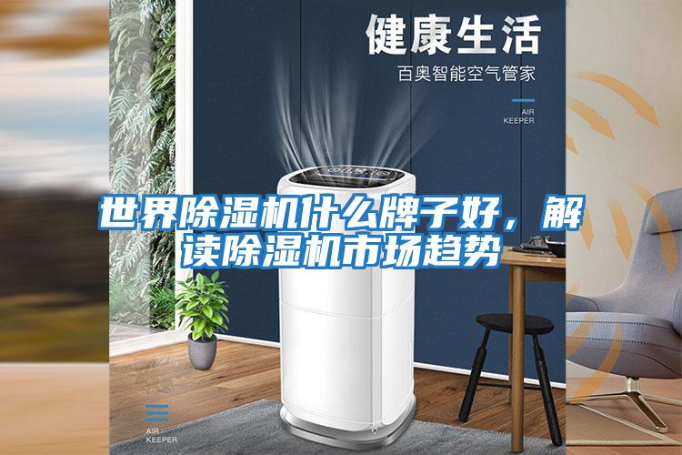 世界除濕機什么牌子好，解讀除濕機市場(chǎng)趨勢
