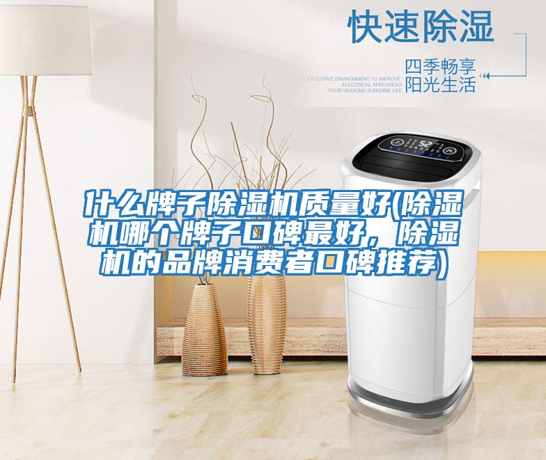 什么牌子除濕機質(zhì)量好(除濕機哪個(gè)牌子口碑最好，除濕機的品牌消費者口碑推薦)
