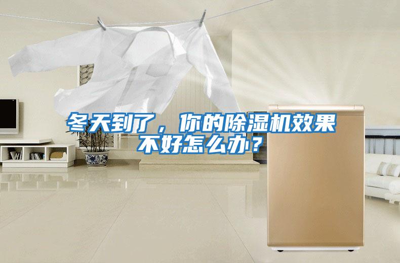 冬天到了，你的除濕機效果不好怎么辦？