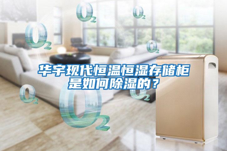 華宇現代恒溫恒濕存儲柜是如何除濕的？