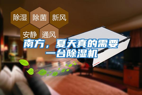 南方，夏天真的需要一臺除濕機