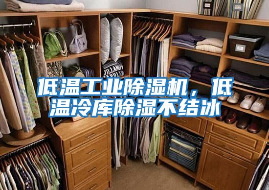 低溫工業(yè)除濕機，低溫冷庫除濕不結冰