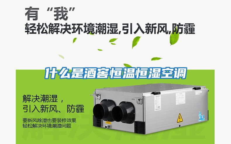 什么是酒窖恒溫恒濕空調