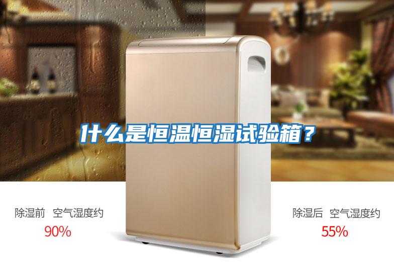 什么是恒溫恒濕試驗箱？