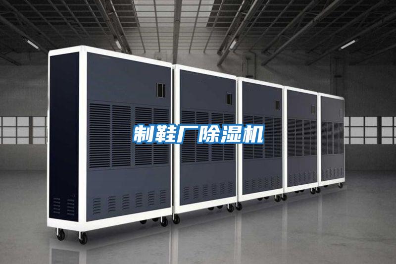 制鞋廠(chǎng)除濕機