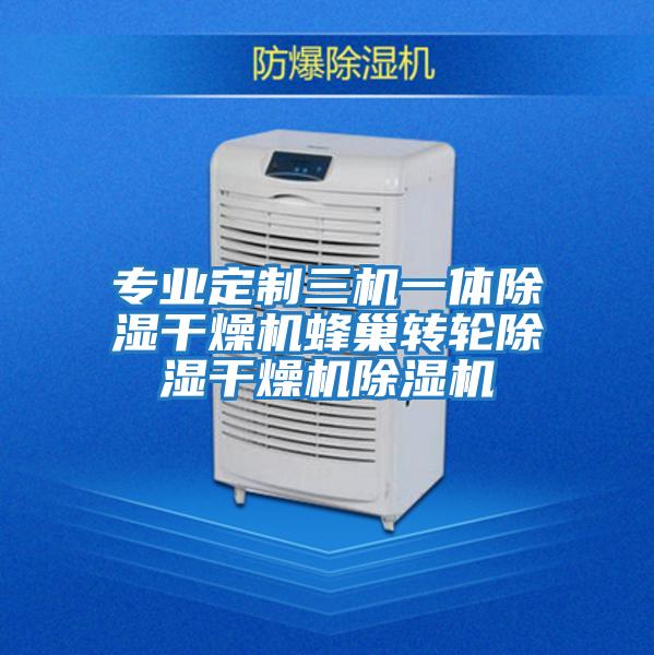 專(zhuān)業(yè)定制三機一體除濕干燥機蜂巢轉輪除濕干燥機除濕機