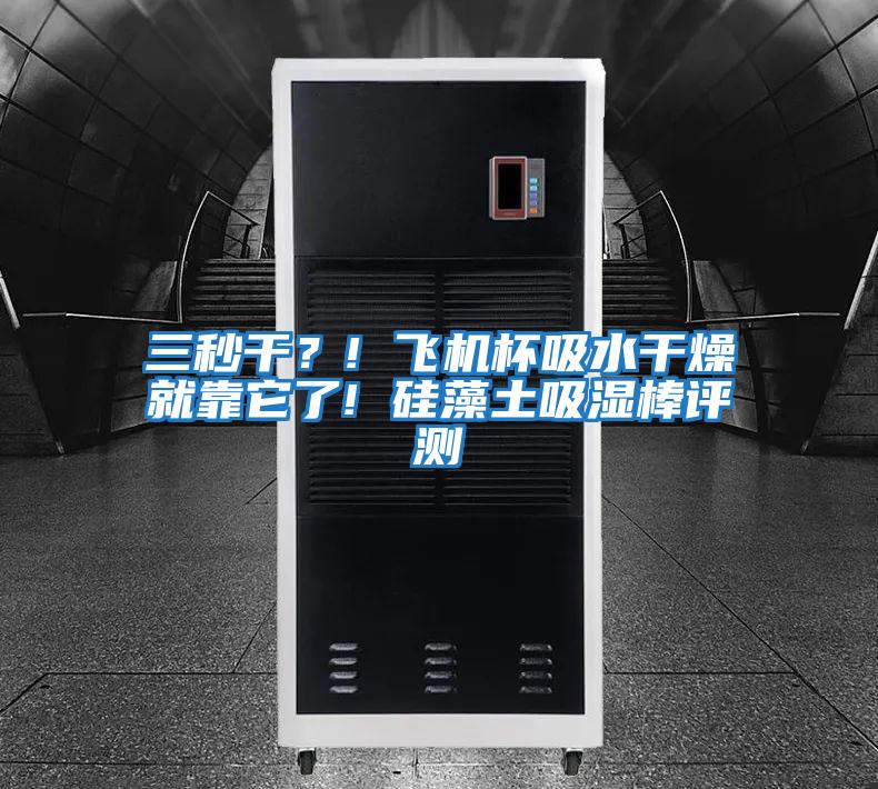 三秒干？! 飛機杯吸水干燥就靠它了! 硅藻土吸濕棒評測