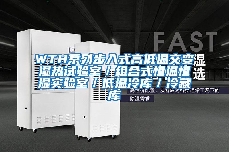 WTH系列步入式高低溫交變濕熱試驗室／組合式恒溫恒濕實(shí)驗室／低溫冷庫／冷藏庫