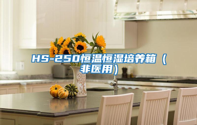 HS-250恒溫恒濕培養箱（非醫用）