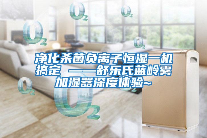 凈化殺菌負離子恒濕一機搞定 ——舒樂(lè )氏藍嶺霧加濕器深度體驗~