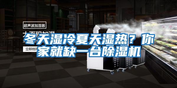 冬天濕冷夏天濕熱？你家就缺一臺除濕機