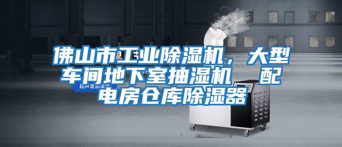 佛山市工業(yè)除濕機，大型車(chē)間地下室抽濕機  配電房倉庫除濕器