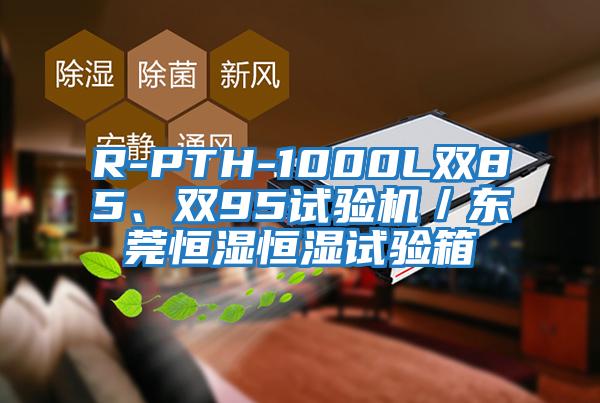 R-PTH-1000L雙85、雙95試驗機／東莞恒濕恒濕試驗箱