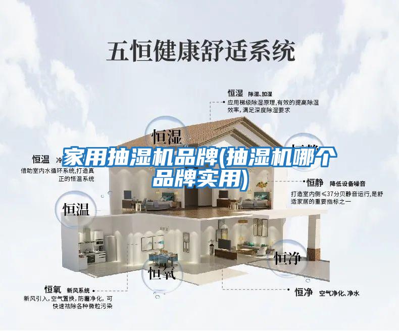 家用抽濕機品牌(抽濕機哪個(gè)品牌實(shí)用)