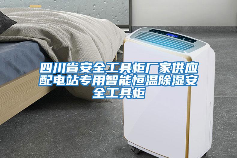 四川省安全工具柜廠(chǎng)家供應配電站專(zhuān)用智能恒溫除濕安全工具柜