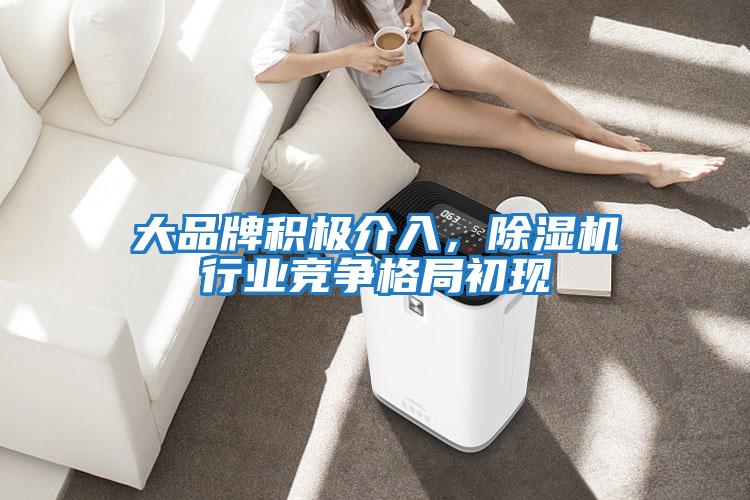 大品牌積極介入，除濕機行業(yè)競爭格局初現